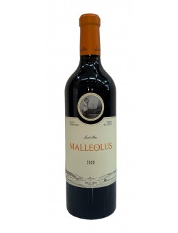 Vino Malleolus