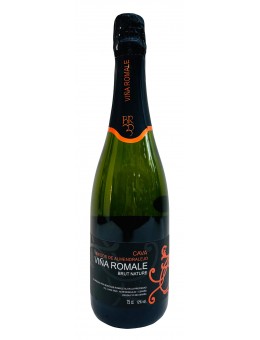 Cava Viña Romale Brut Nature